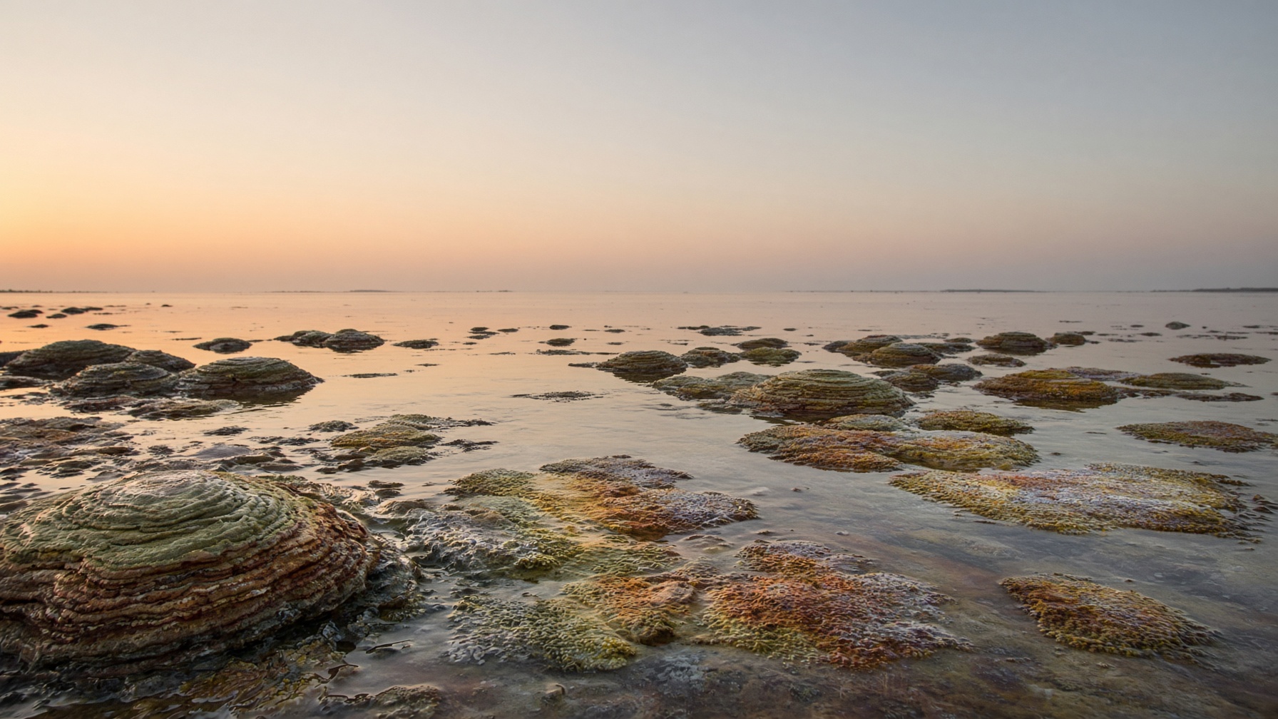 Layered microbial mounds in shallow water