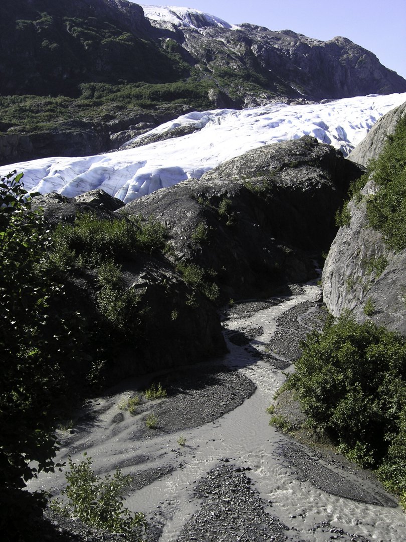 Exit Glacier in Alaska, a living glacier